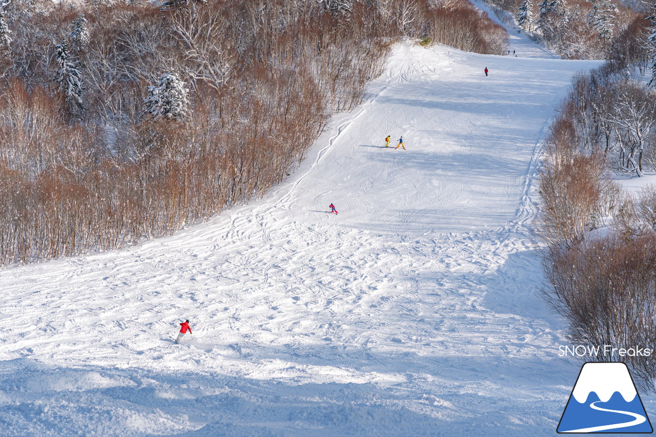 札幌国際スキー場｜積雪100cm超え！名物の急斜面『ダウンヒルコース』を含む、全てのコースが気持ち良～く滑走可能です(^^)/